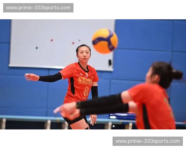 岁月里的惊雷与柔情：2017全运会辽宁女排与浙江女排的巅峰博弈